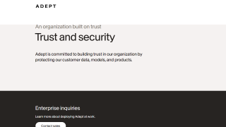 Adept AI screenshot 1